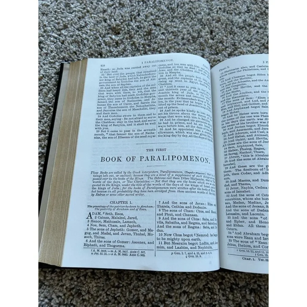 The Holy Bible Douay Rheims Version Catholic 1989 Orthodox Hardcover Black F26